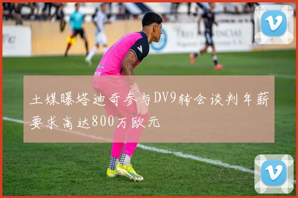 土媒曝塔迪奇参与DV9转会谈判年薪要求高达800万欧元
