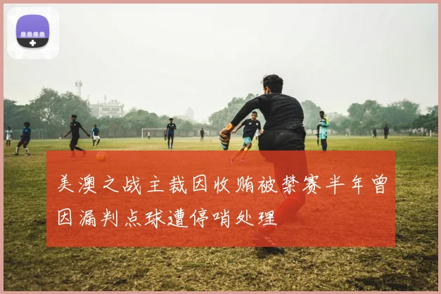 美澳之战主裁因收贿被禁赛半年曾因漏判点球遭停哨处理